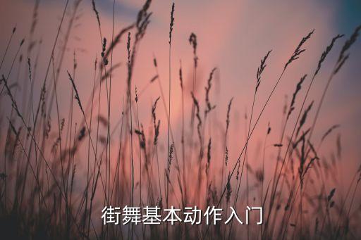  街舞基本动作入门