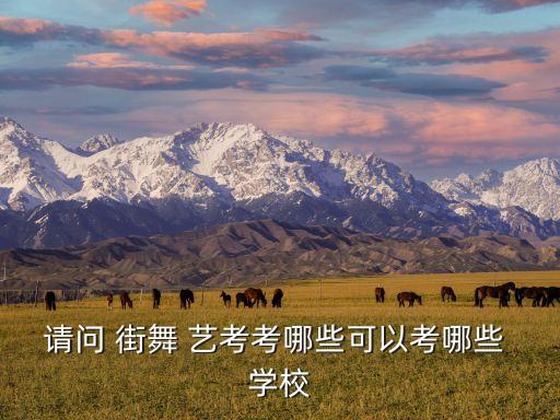 请问 街舞 艺考考哪些可以考哪些 学校
