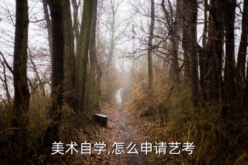 美术自学,怎么申请艺考