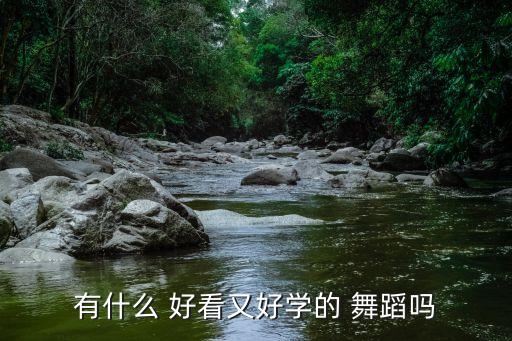 有什么 好看又好学的 舞蹈吗