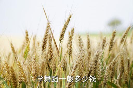 跳舞学费多少,舞蹈培训学校收费不同建议根据经济情况选择