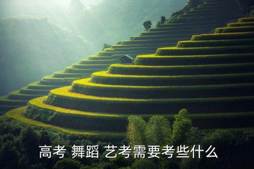 高考艺考舞蹈类型有哪些,高考是怎么一回事?
