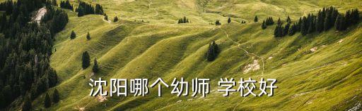  沈阳哪个幼师 学校好