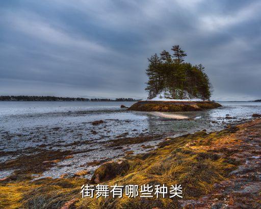  街舞有哪些种类