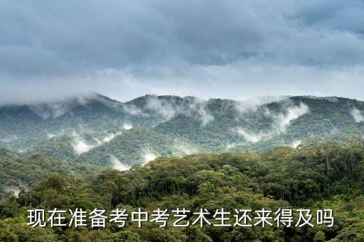 现在准备考中考艺术生还来得及吗
