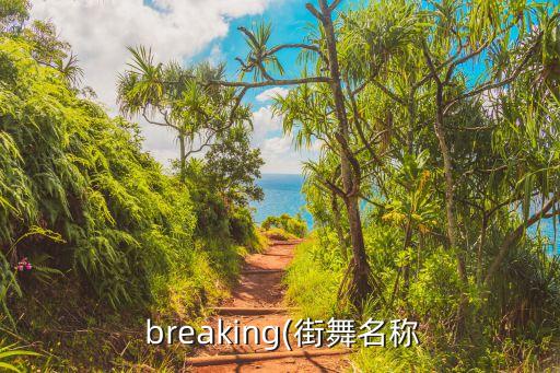  breaking(街舞名称