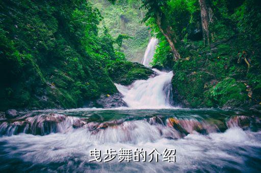  曳步舞的介绍