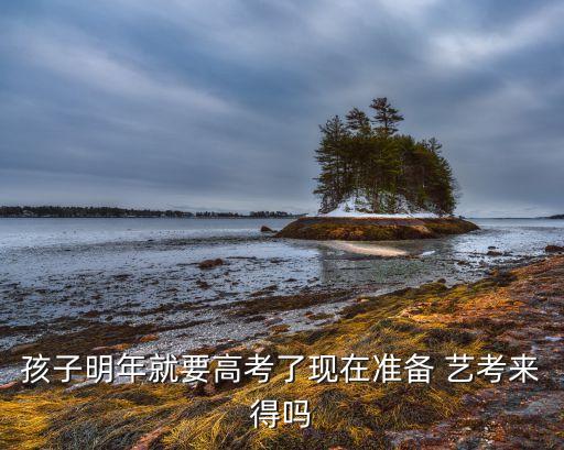 孩子明年就要高考了现在准备 艺考来得吗