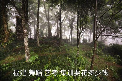 福建 舞蹈 艺考 集训要花多少钱