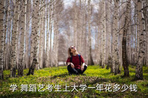 舞蹈生具体花多少钱,大学舞蹈生一年花多少钱