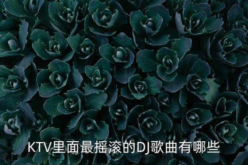 电音dj最嗨舞曲