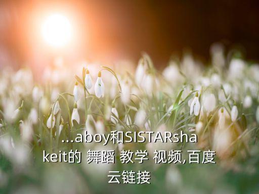 ...aboy和SISTARshakeit的 舞蹈 教学 视频,百度云链接