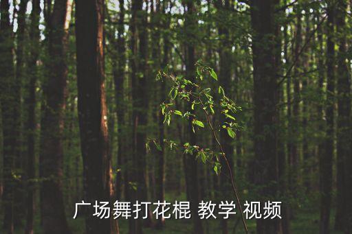  广场舞打花棍 教学 视频