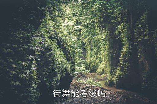  街舞能考级吗