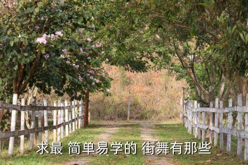 求最 简单易学的 街舞有那些