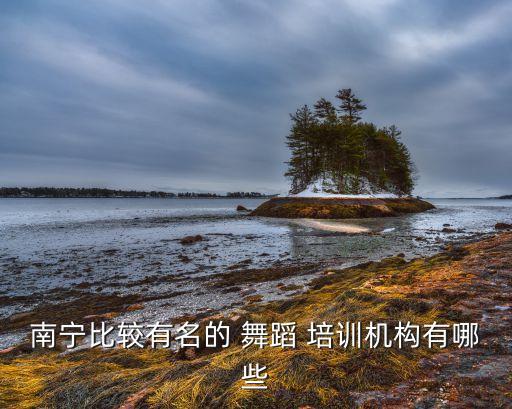南宁比较有名的 舞蹈 培训机构有哪些