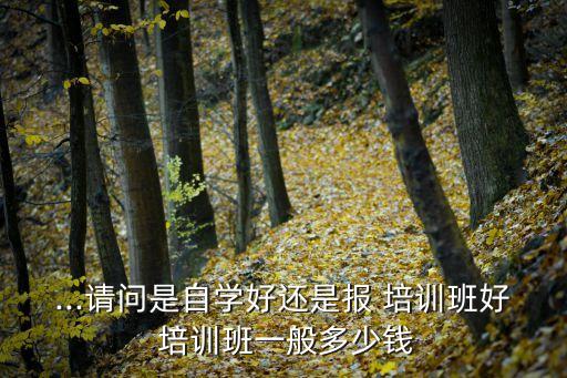 ...请问是自学好还是报 培训班好 培训班一般多少钱