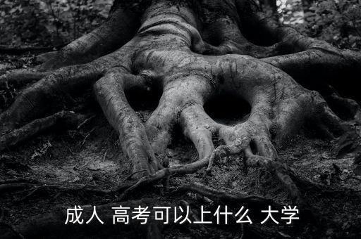  成人 高考可以上什么 大学