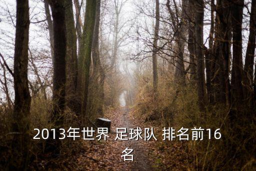 2013年世界 足球队 排名前16名