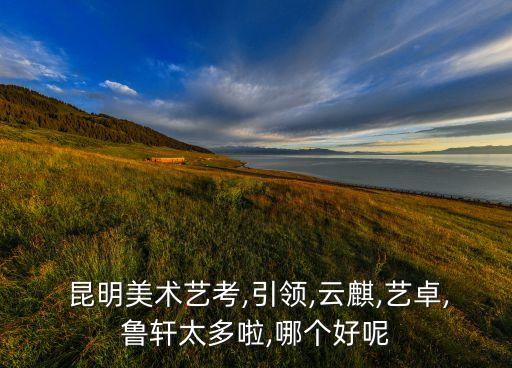 昆明美术艺考,引领,云麒,艺卓,鲁轩太多啦,哪个好呢
