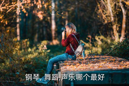  钢琴, 舞蹈,声乐哪个最好