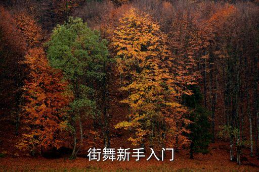  街舞新手入门