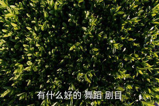 有什么好的 舞蹈 剧目