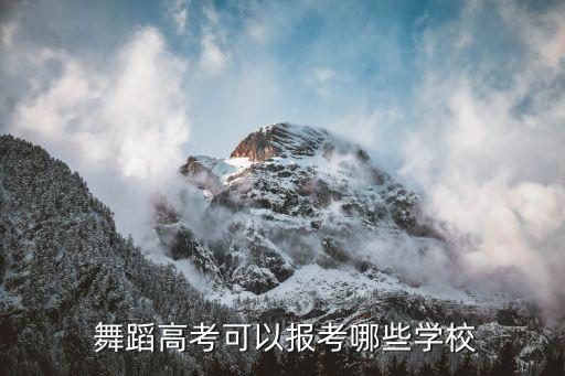 北京舞蹈学院有什么专业,李一桐北京舞蹈学院什么专业