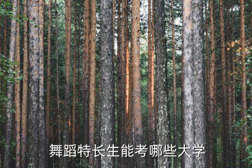  舞蹈特长生能考哪些大学