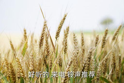 好听的 来电 铃声推荐