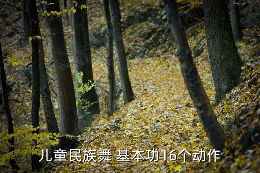 儿童民族舞 基本功16个动作