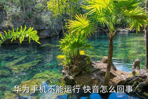快音安装下载,正版快音