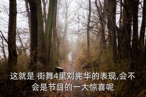 这就是 街舞4里刘宪华的表现,会不会是节目的一大惊喜呢