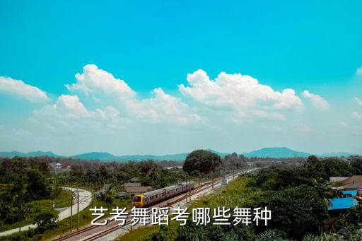 国标舞艺考都考什么,艺考国标舞能考哪些学校