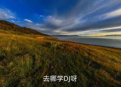 去哪学DJ呀