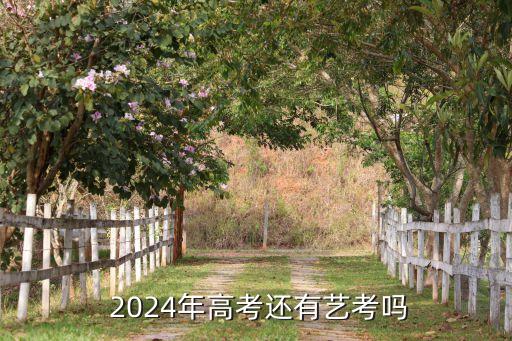  2024年高考还有艺考吗