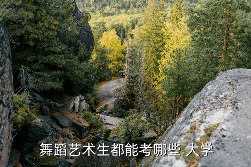 舞蹈生可以报考的综合类大学,舞蹈专业可以报考哪些综合类院校