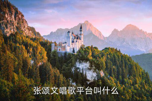 张颂文唱歌平台叫什么