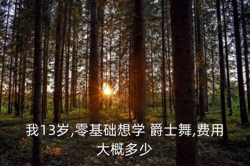 我13岁,零基础想学 爵士舞,费用大概多少