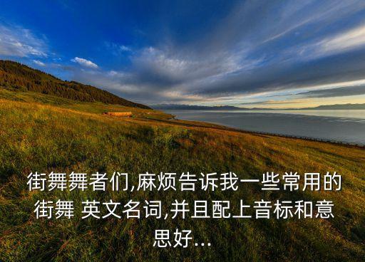  街舞舞者们,麻烦告诉我一些常用的 街舞 英文名词,并且配上音标和意思好...