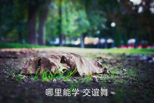 哪里能学 交谊舞