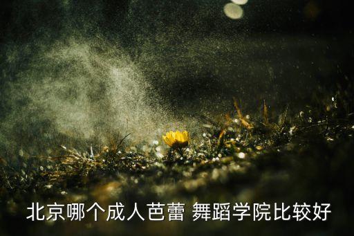  北京哪个成人芭蕾 舞蹈学院比较好