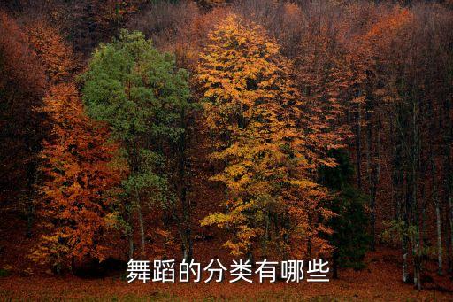  舞蹈的分类有哪些