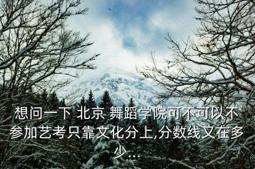想问一下 北京 舞蹈学院可不可以不参加艺考只靠文化分上,分数线又在多少...