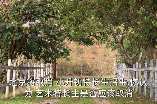 小升初报考艺术生好不好