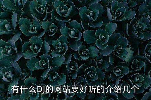 广西dj音乐网,酒吧dj打碟