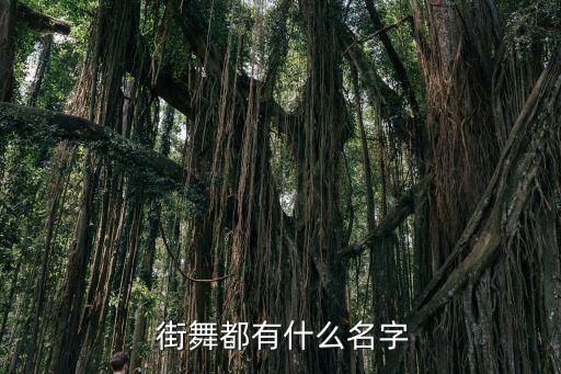 街舞简笔画图片大全集,成语故事简笔画图片大全集