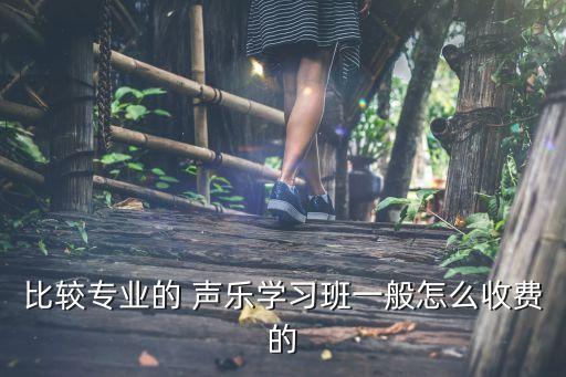 儿童学声乐多少钱一节课,北京声乐课多少钱一节