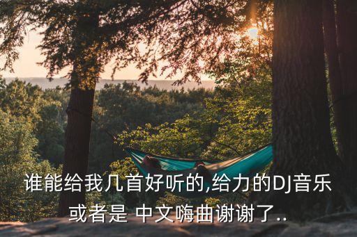 车载dj歌曲大全100首中文,车载音乐dj歌曲大全100首