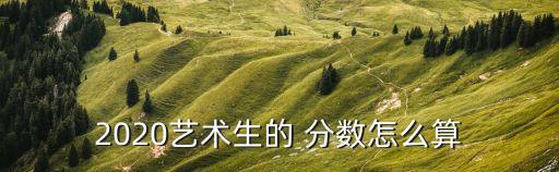 2020艺术生的 分数怎么算